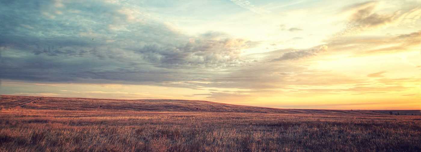 Fall Background image